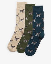 Pointer Dog Sock Gift Box