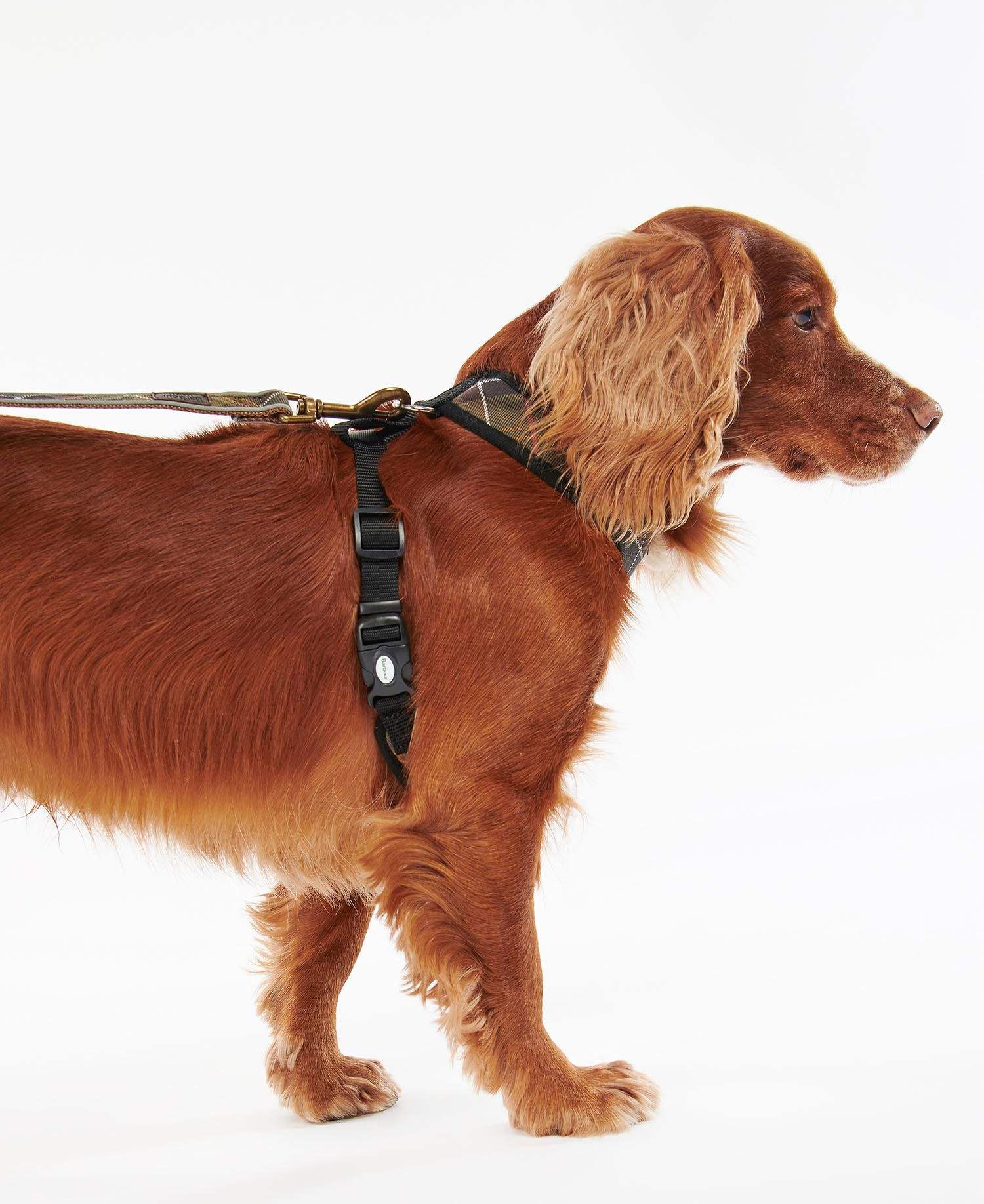 Barbour Hundabeisli - Tartan Dog Harness - Classic Tartan - Kormákur & Skjöldur